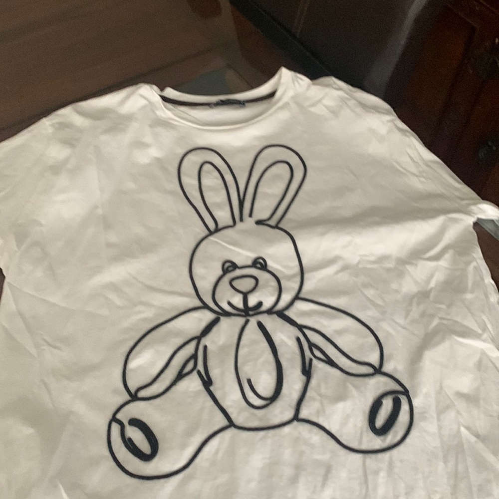 Zara tee shirt